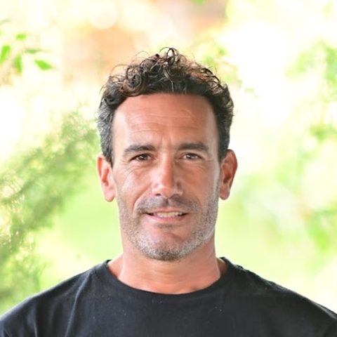 Fran Mazzarella